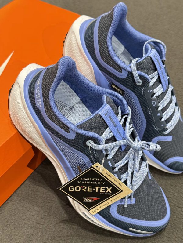 Nike Pegasus 41 GORE-TEX